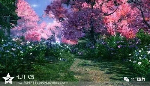 渣渣辉传奇